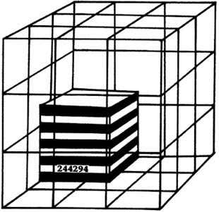 Rimma Gerlovina cube Prisoner