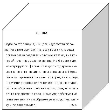 Rimma Gerlovina environmental cube Cage