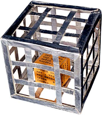 Rimma Gerlovina cube "Bird in Cage"