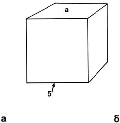 Rimma Gerlovina cube