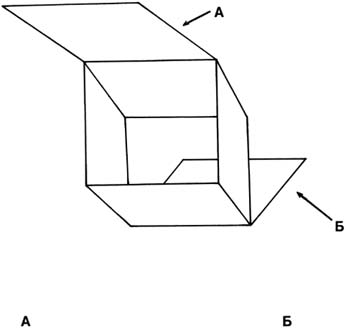 Rimma Gerlovina cube